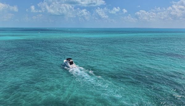 7.SeaRay 46  " - Image 10