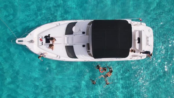 7.SeaRay 46  "